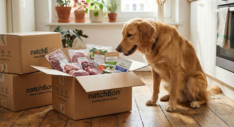 Die besten BARF-Abo-Boxen für Hundefutter 2026