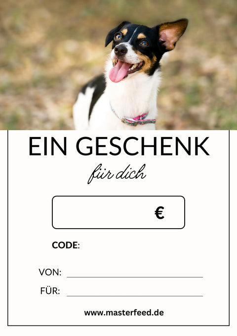 Geschenkgutschein 100 € Masterfeed