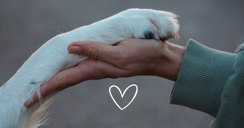 Uit liefde voor het dier!